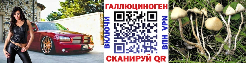 Псилоцибиновые грибы MAGIC MUSHROOMS кракен tor Топки